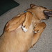 Rita Wiley Photo 27