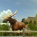 Joseph Moose Photo 29