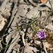 Victoria Boardman Photo 11