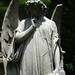 Angel Lang Photo 16