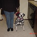 Annie Carroll Photo 34