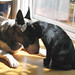 Gary Bonner Photo 17