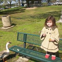 Julia Stringer Photo 7