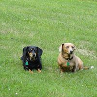 Joyce Capps Photo 8