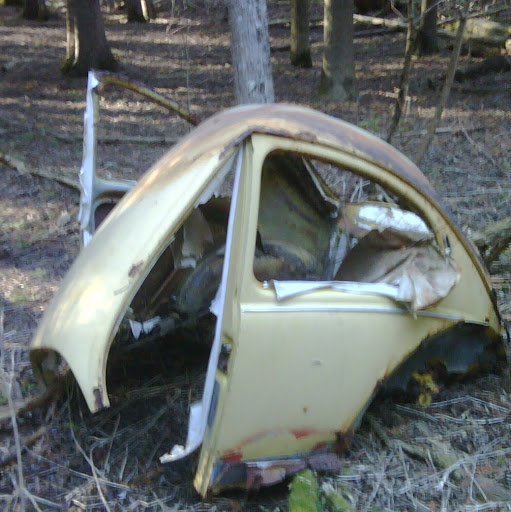 Mark Cassell Photo 29