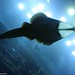 Ray Fish Photo 13