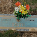 Elizabeth Everett Photo 16