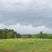 Gregory Varner Photo 22