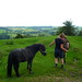 Kathy Walton Photo 34