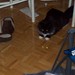 Reginald Reginald Photo 3