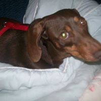 Alma Miller Photo 38