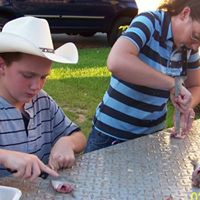 Susan Ratliff Photo 3
