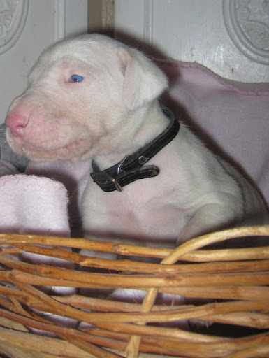 Cheryl Seitz Photo 5