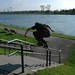 David Kehl Photo 5
