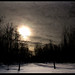 Ann Laird Photo 5