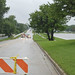 Carol Flood Photo 27