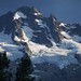 Todd Crisp Photo 17