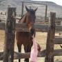 Carol Chandler Photo 21