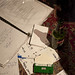 Robin Roderick Photo 15