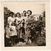 Linda Witt Photo 10