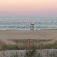 Sharon Rinehart Photo 8