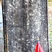 Thomas Barnwell Photo 5