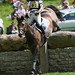 Jeanette Cross Photo 33