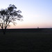 Lawrence Levy Photo 39