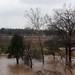 Gale Flood Photo 11
