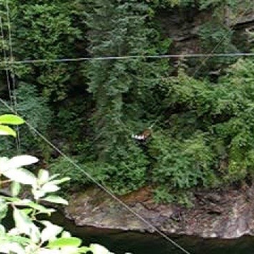 Mark Neuman Photo 37