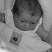 Leo Armstrong Photo 19