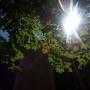 Mary Lattimore Photo 10