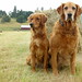 Brandy Hunt Photo 19