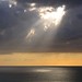 Monica Ray Photo 41