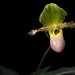 Stacy Richards Photo 10