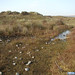 Myrtle Slack Photo 4
