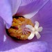 Judith Groff Photo 11