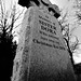 Dora Jones Photo 25