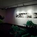 David Ulcak Photo 7