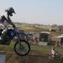Dallas Lang Photo 17