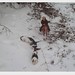 Don Prather Photo 15