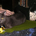 Marty Jackson Photo 14