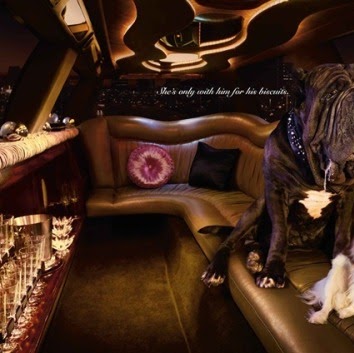 Judy Kuo Photo 9