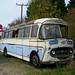 Wesley Evers Photo 7