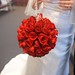 Amy Rouse Photo 9