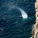 Jeffrey Diver Photo 8