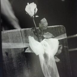 Nicola Schulz Photo 1