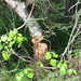 Nancy Beaver Photo 19