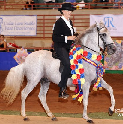 Suzanne Cantrell Photo 5