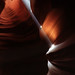 Galen Root Photo 4